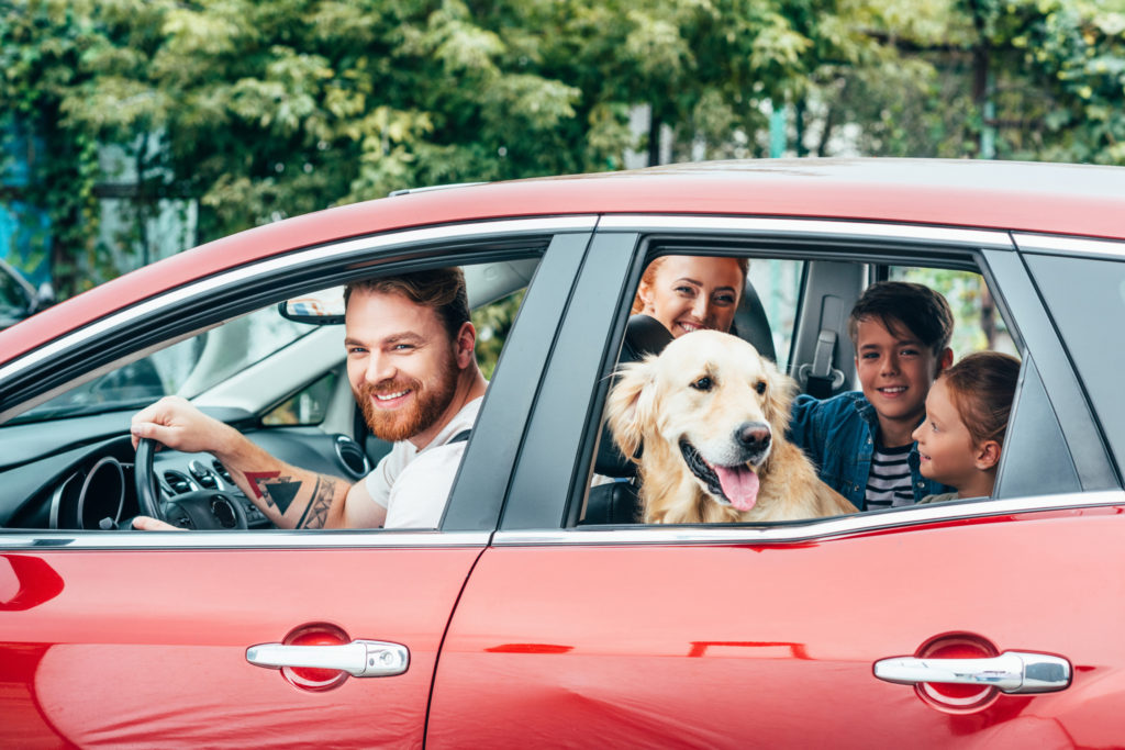 Auto insurance - protection for the whole family.